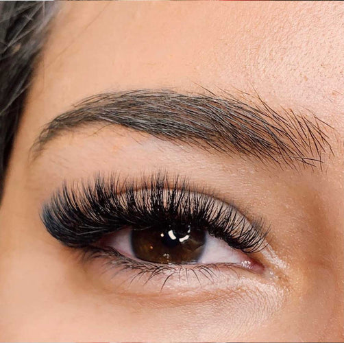 Discover the Allure of Volume Lashes and Mega Volume Lashes